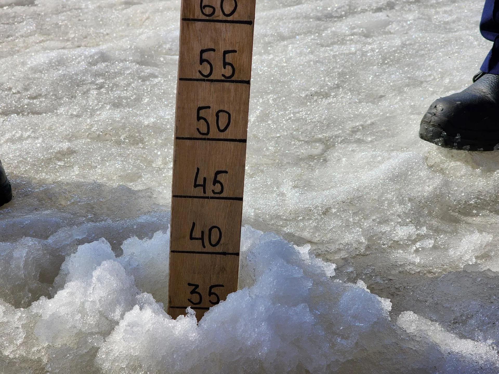 МедиаБанк Подмосковья/Ольга Аввакумова