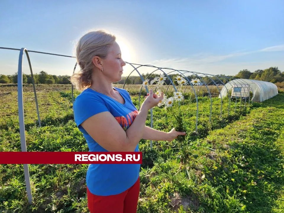 REGIONS/Яна Шаливская