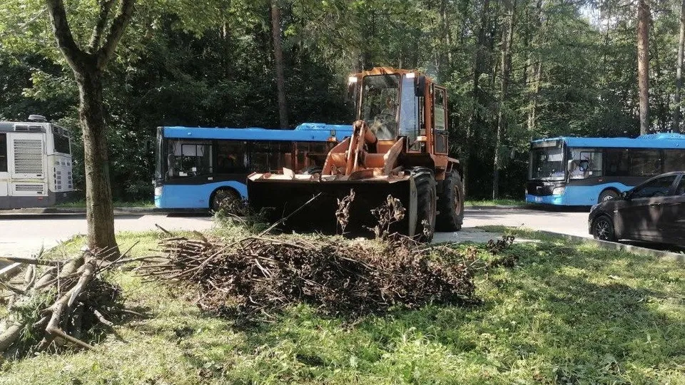 Фото: МБУ «Городское хозяйство» городского округа Жуковский