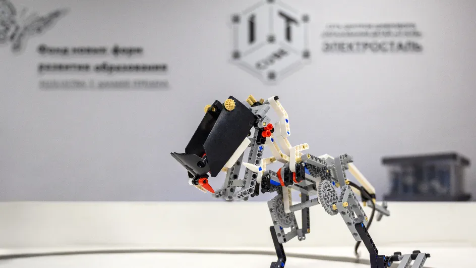 Фото: медиасток.рф