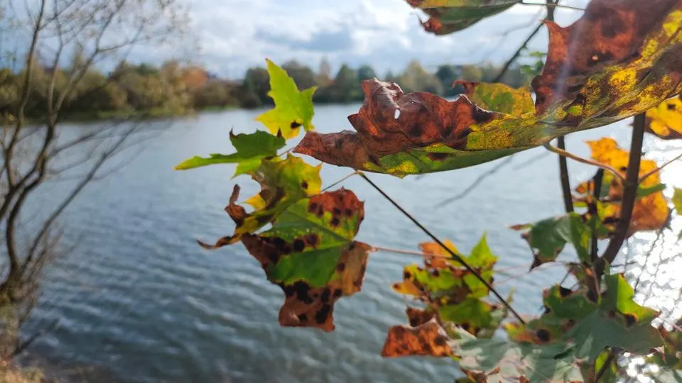 Фото: REGIONS/Наталия Надточая