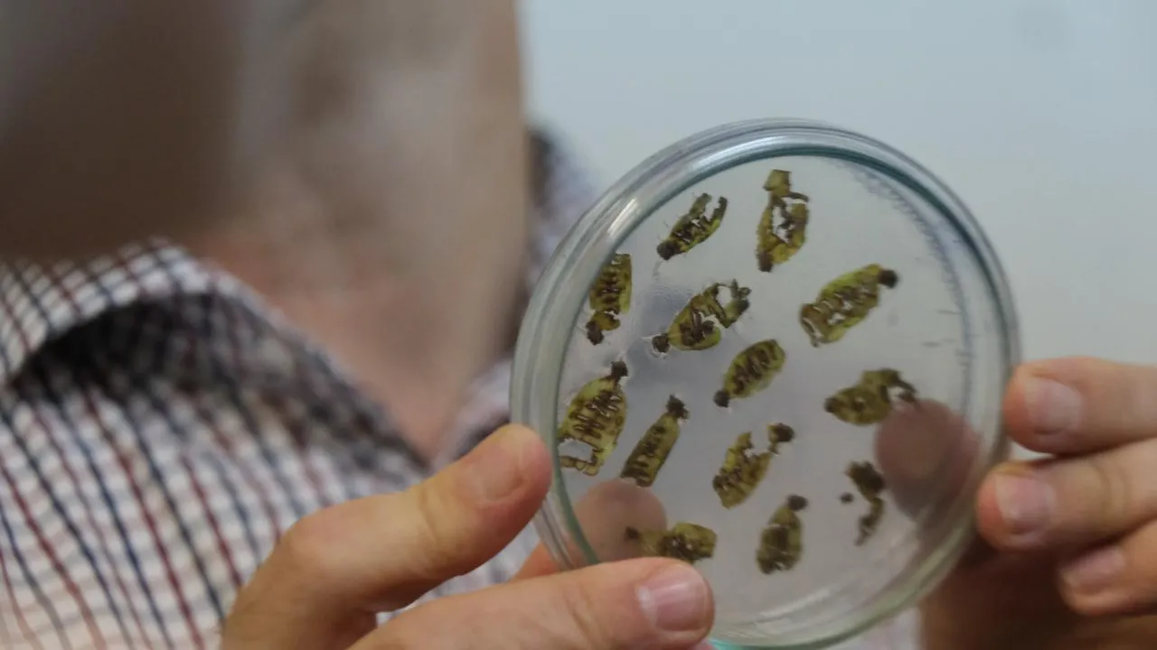 Фото: Мария Панина