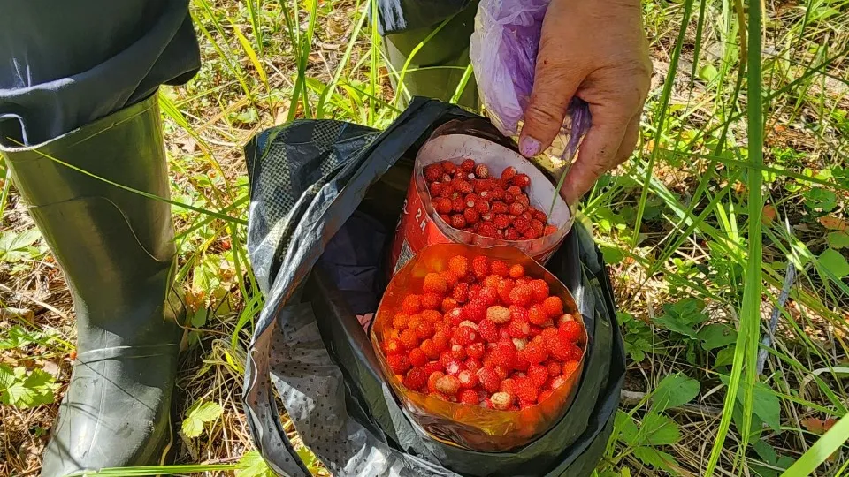 Фото: МедиаБанк Подмосковья/Михаил Мартыненко