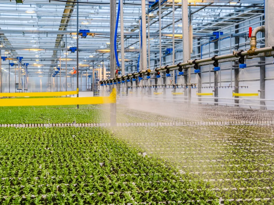 Фото: Министерство сельского хозяйства и продовольствия Московской области