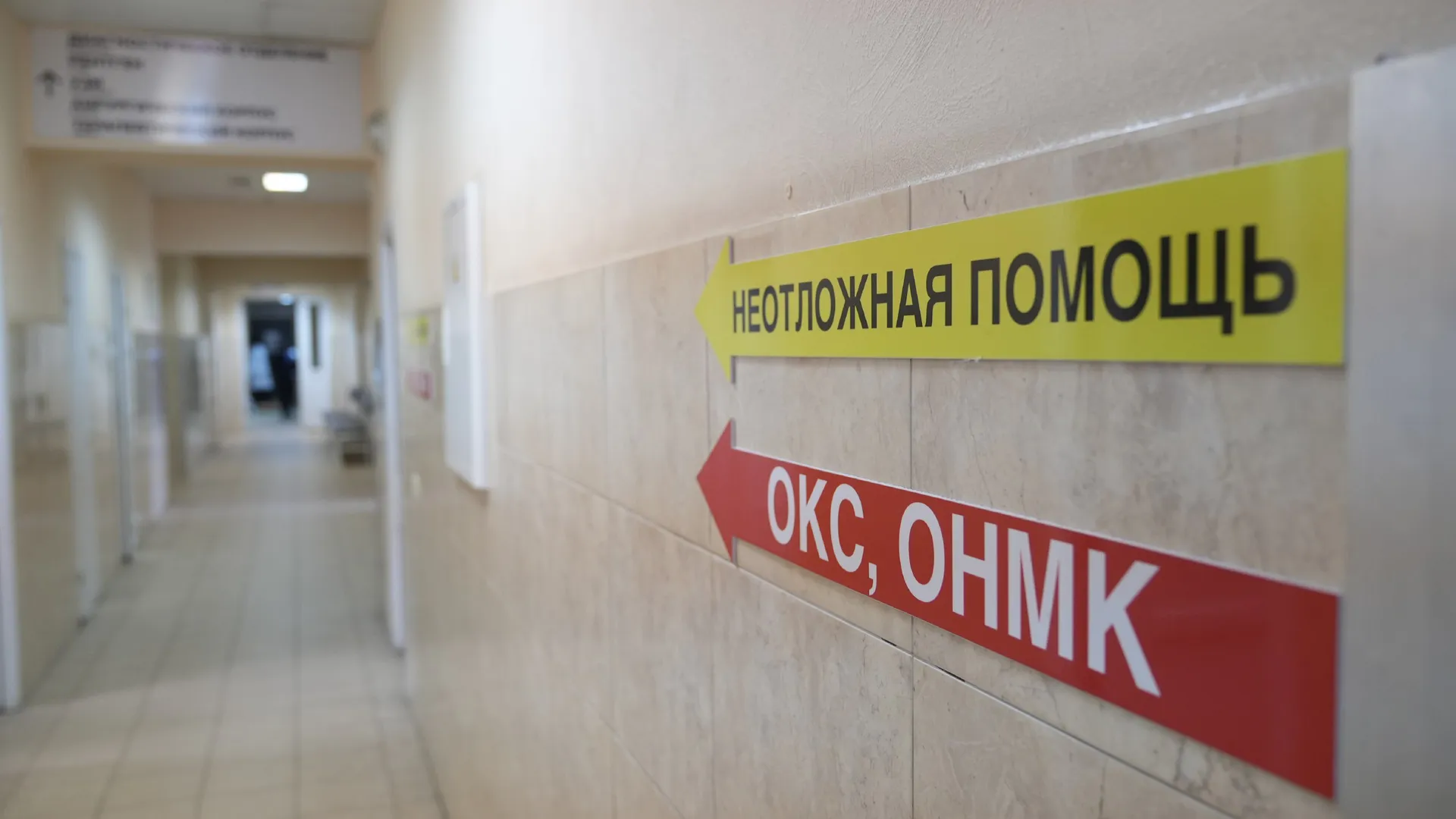 Фото: REGIONS/Александра Степанова