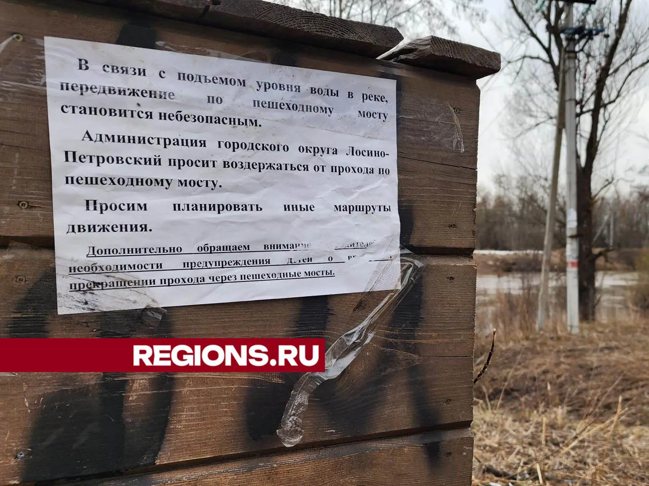 Фото: Валерия Тингаева