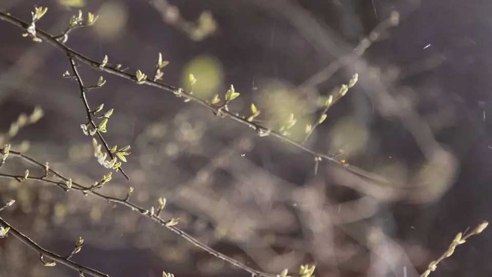 Фото: REGIONS/Владимир Ерастов