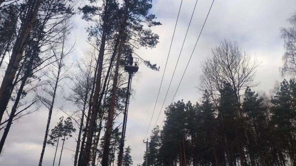 Фото: Мособлэнерго