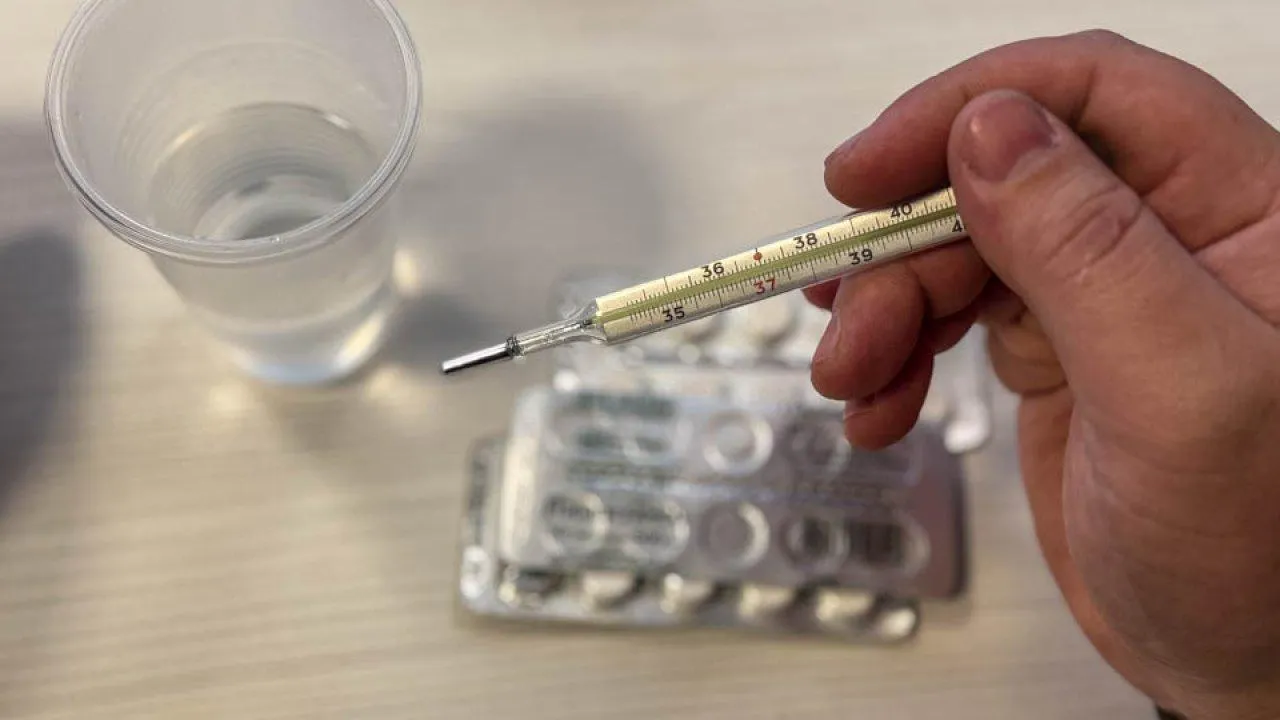 REGIONS/Роман Малышенко