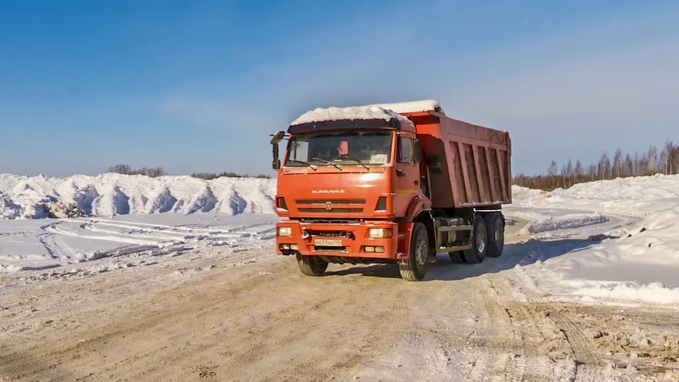 Фото: МедиаБанк Подмосковья/Данила Кирьянов