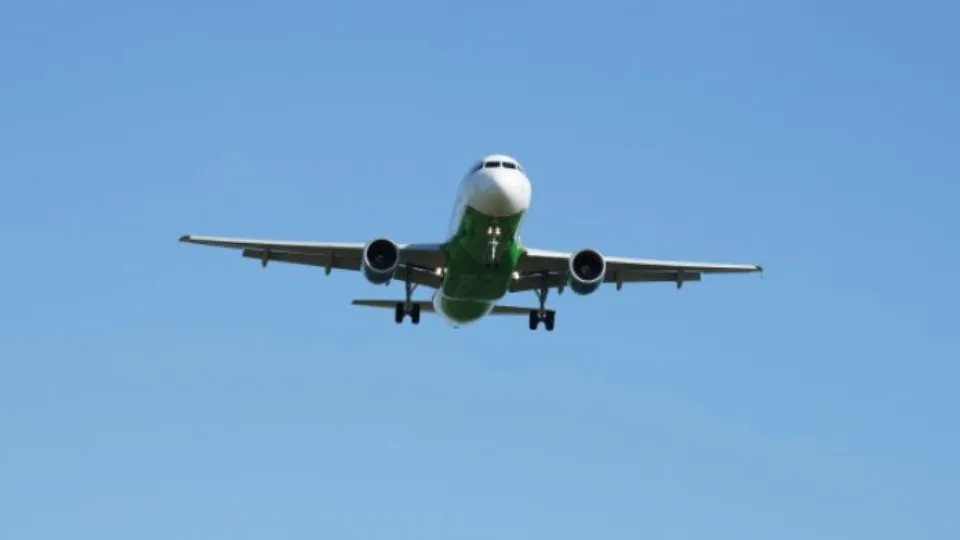 REGIONS/Дарина Левкина