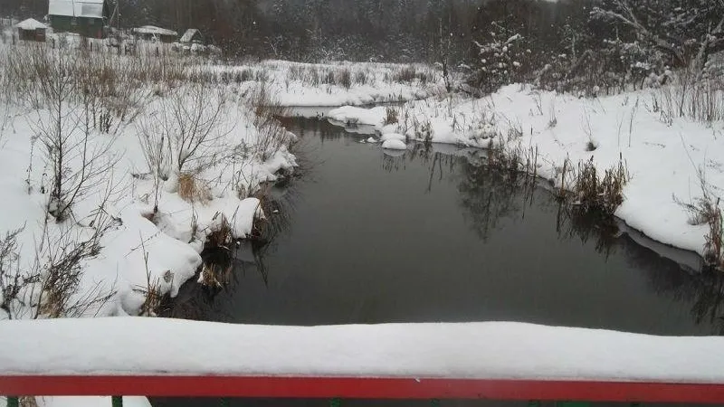 Состояние реки в Сергиево-Посадском районе на особом контроле экологов