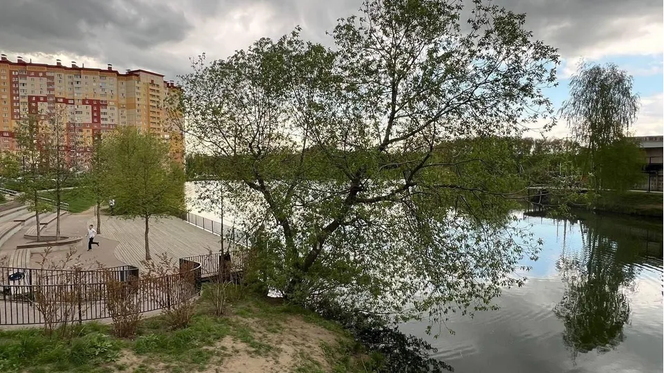 Фото: пресс-служба администрации г.о. Люберцы