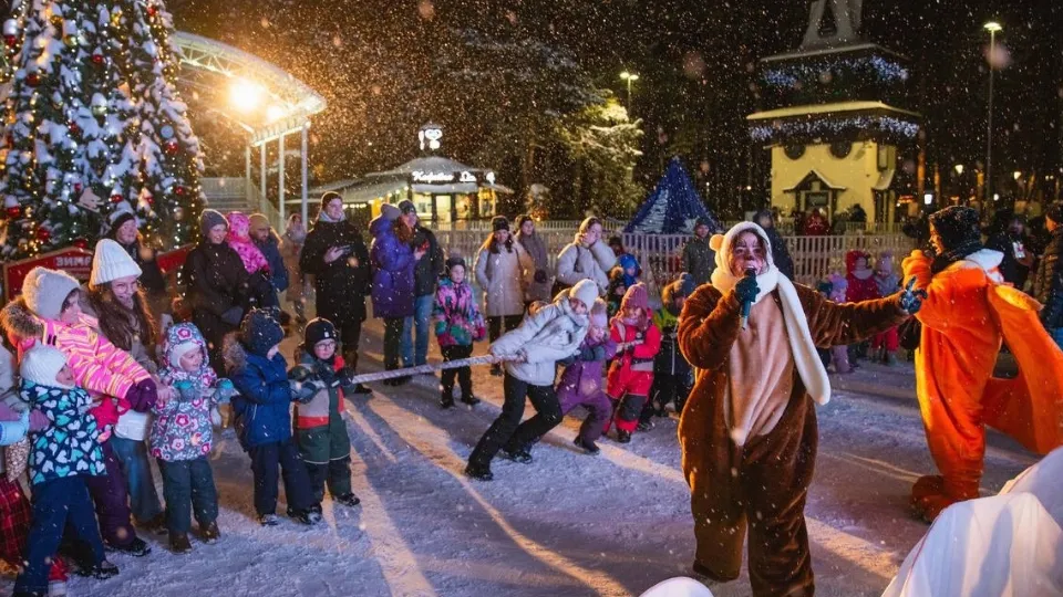 Фото: парки г.о. Домодедово