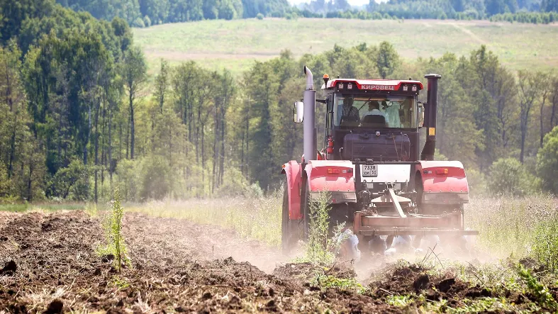 Фото: медиасток.рф