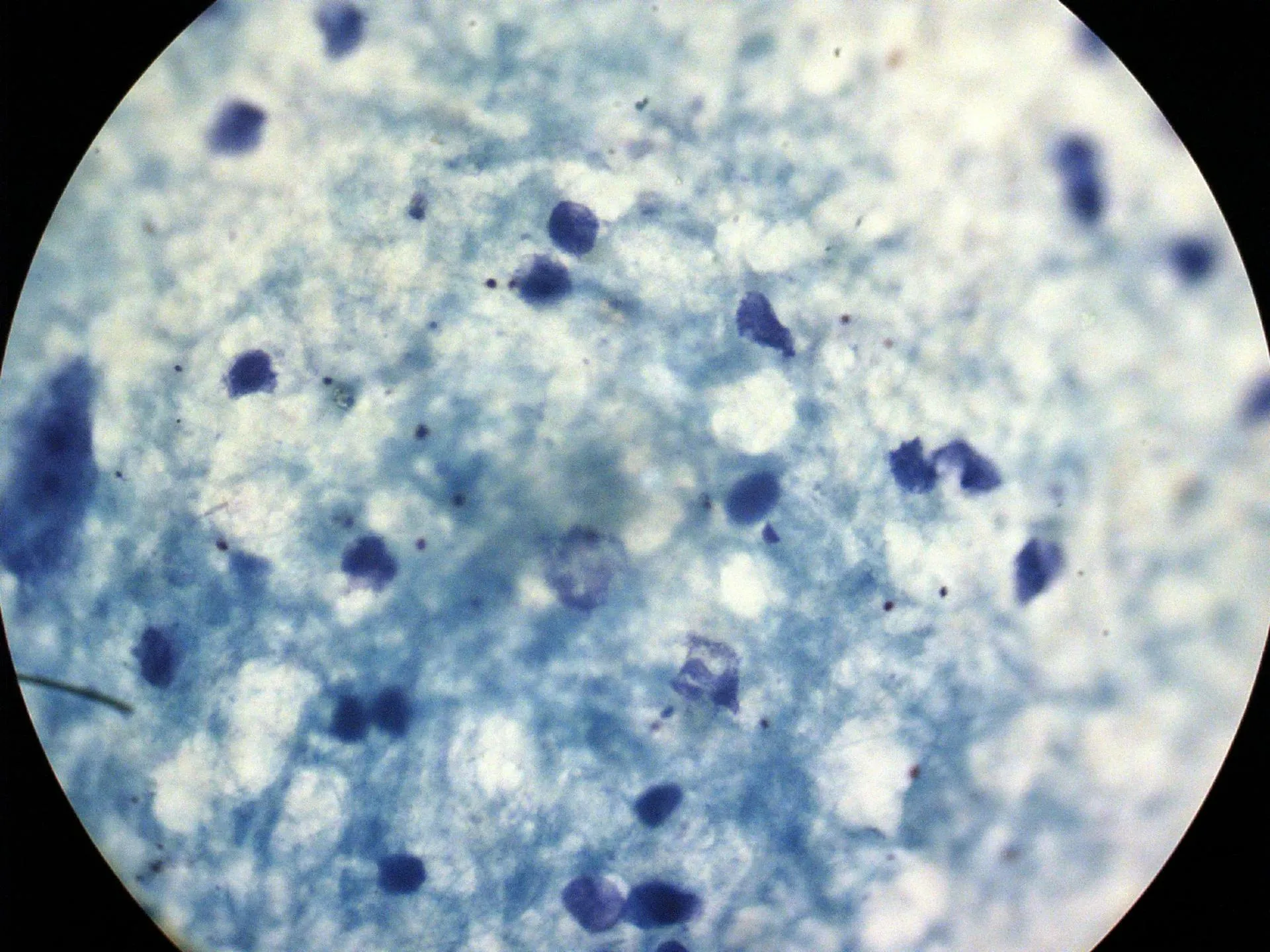 Alexander Legky/Global Look Press