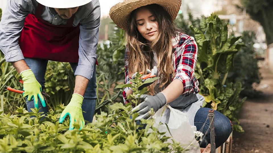 Фото: freepik.com