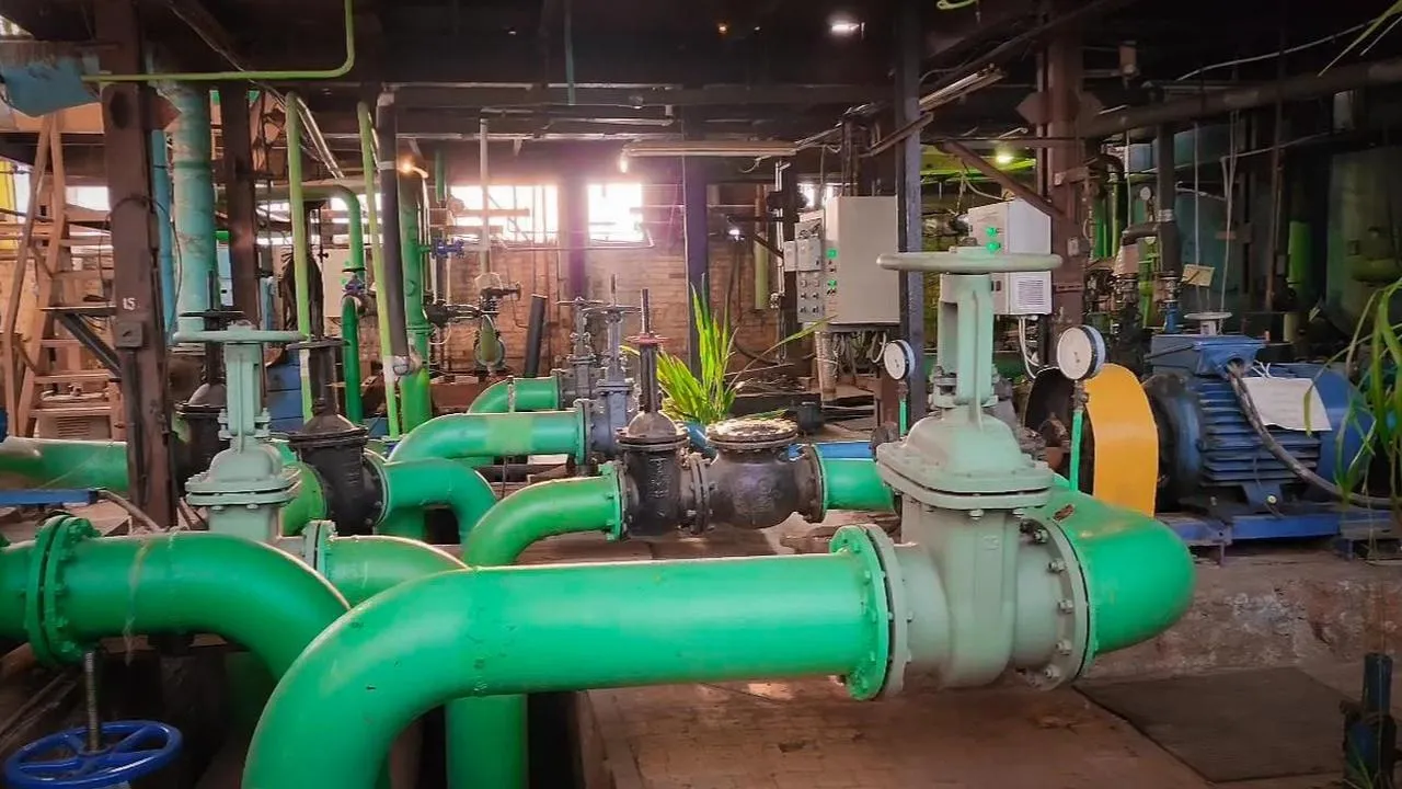 Медиабанк Подмосковья/Ольга Антонова