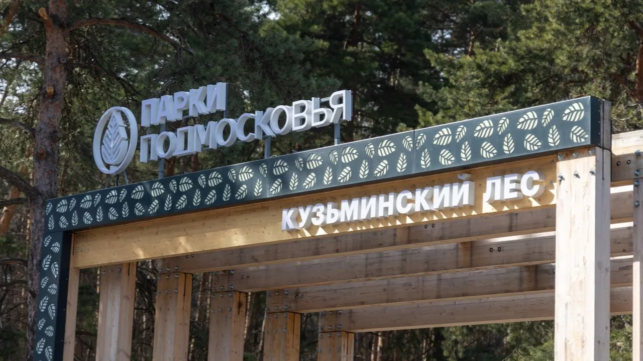 медиасток.рф