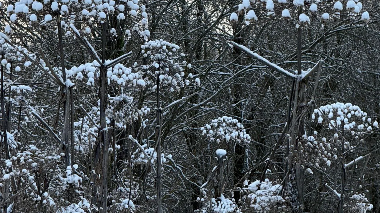 Фото: Марина Алифанова