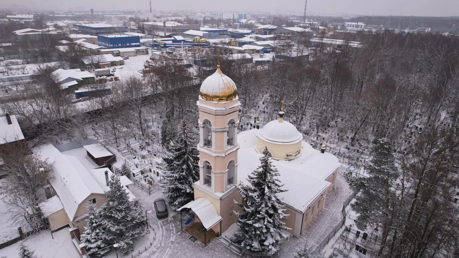 Дарья Московцева