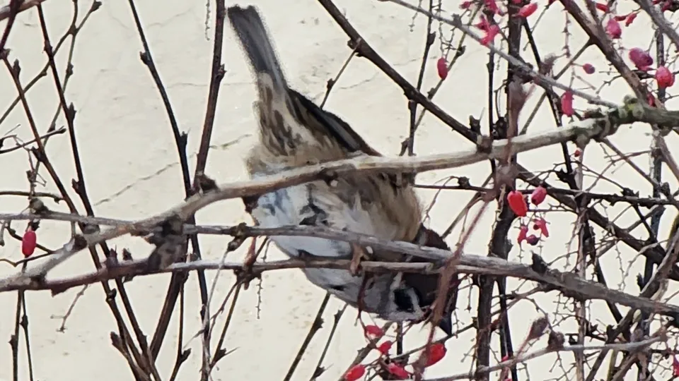 Фото: МедиаБанк Подмосковья/Марина Анисимова