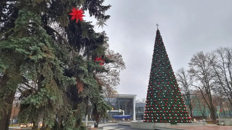 Фото: REGIONS/Юлия Алабина