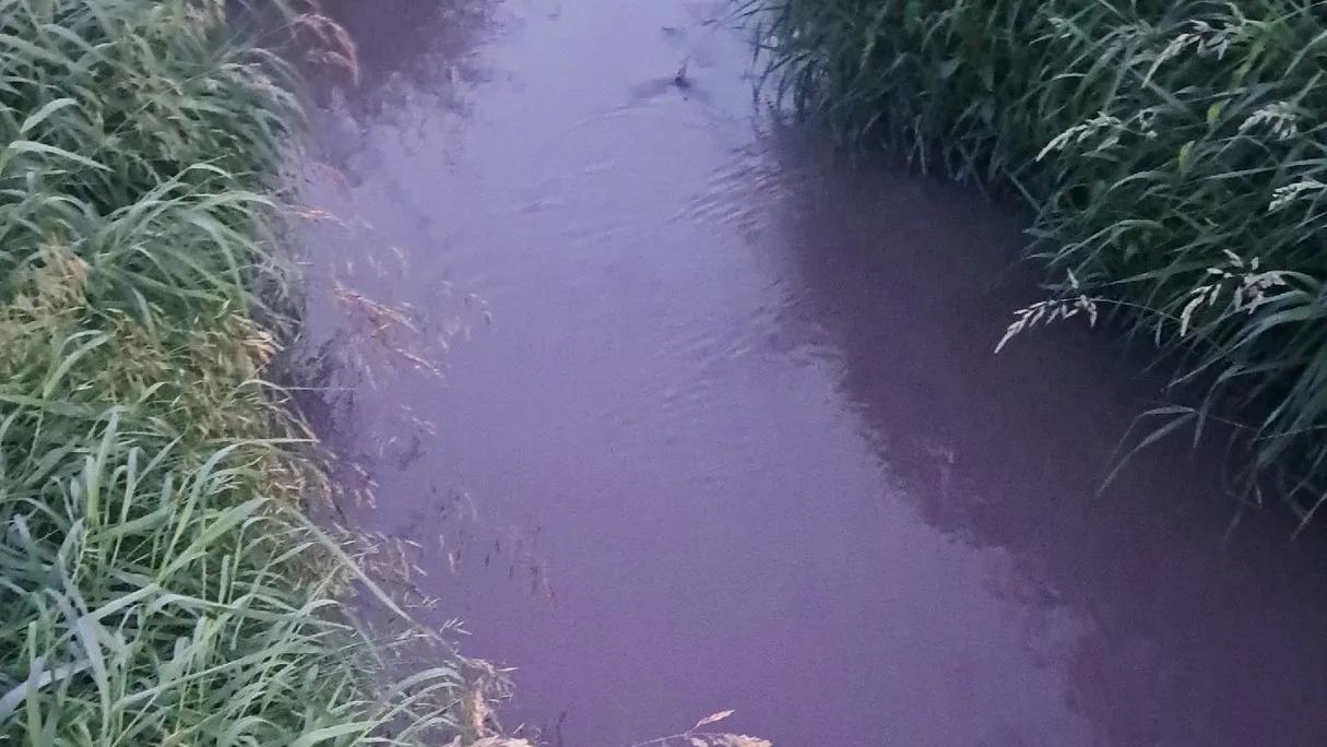 Фото: соцсети