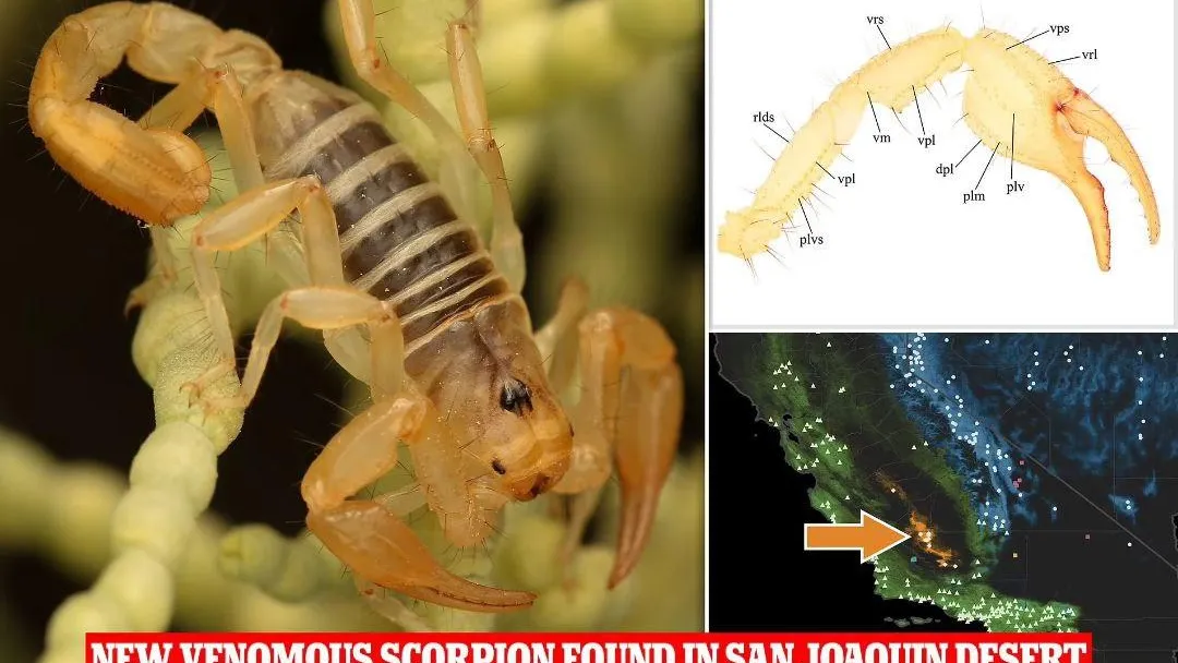 Фото: MailOnline Наука