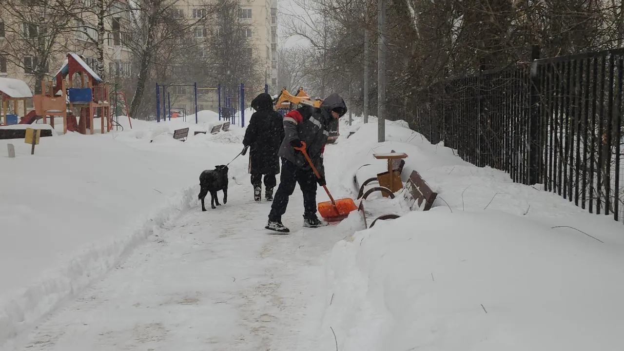 REGIONS/Кристина Ларина