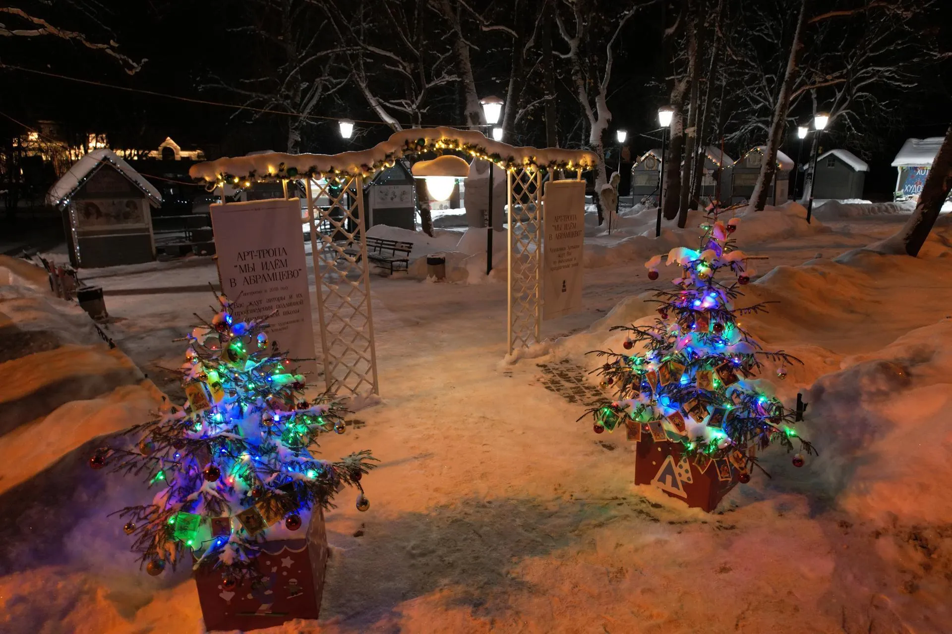 Фото: Дарья Московцева