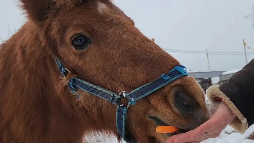 Фото: Ольга Антонова