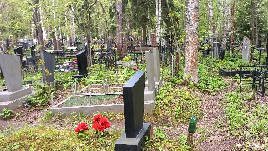 Фото: Олег Книжник