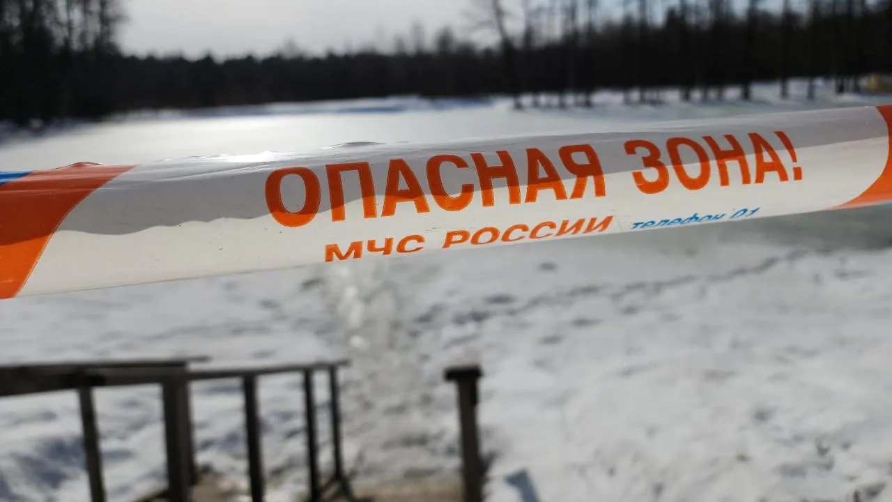 МедиаБанк Подмосковья/Юлия Андросова