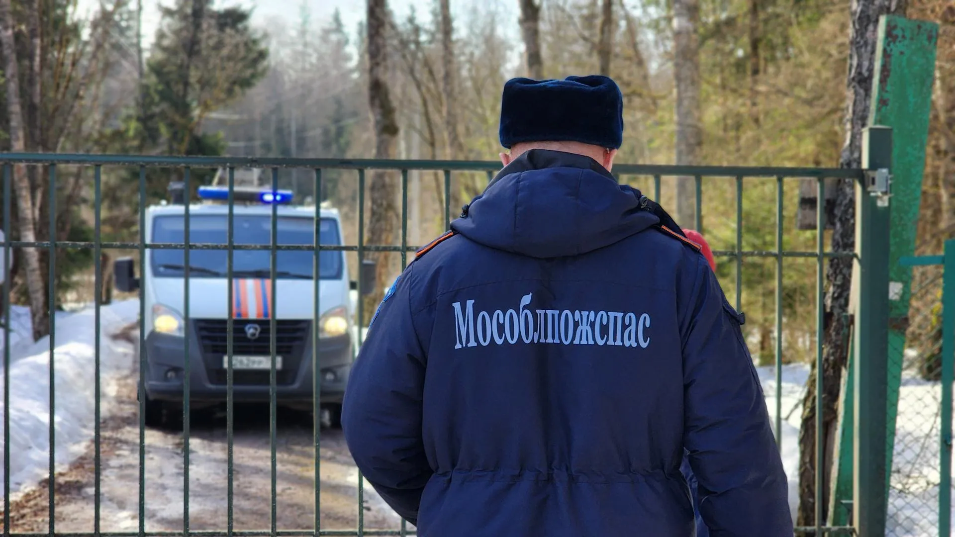 МедиаБанк Подмосковья/Екатерина Данилина