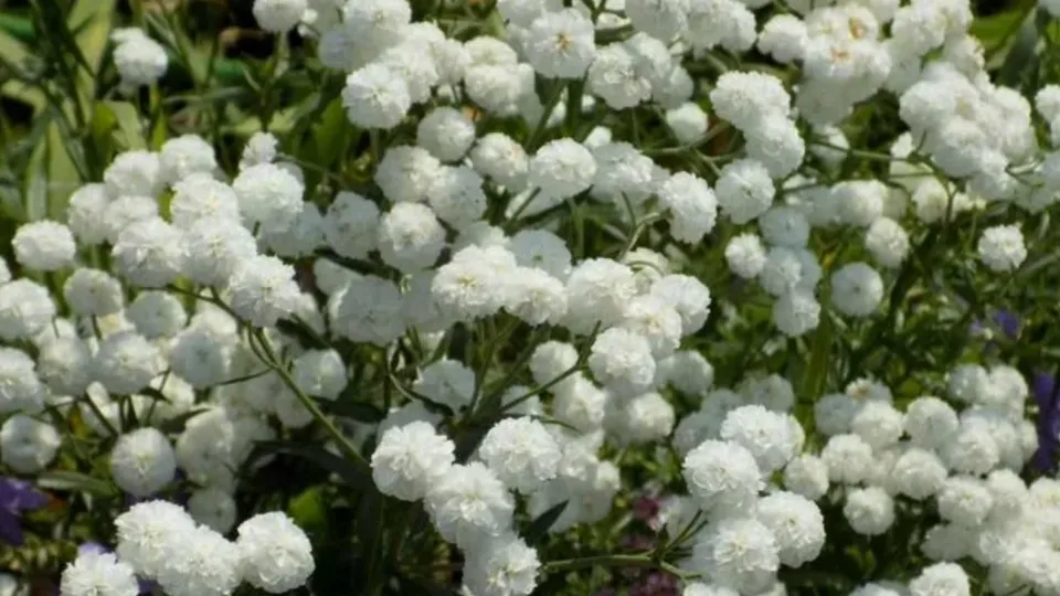 Фото: городская доска объявлений