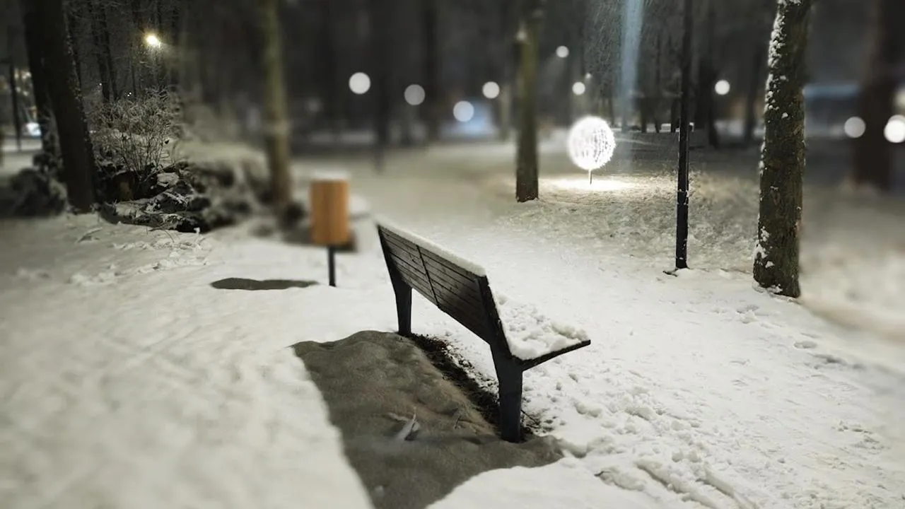 REGIONS/Алексей Селиверстов