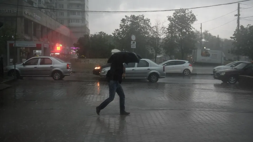 Фото: медиасток.рф