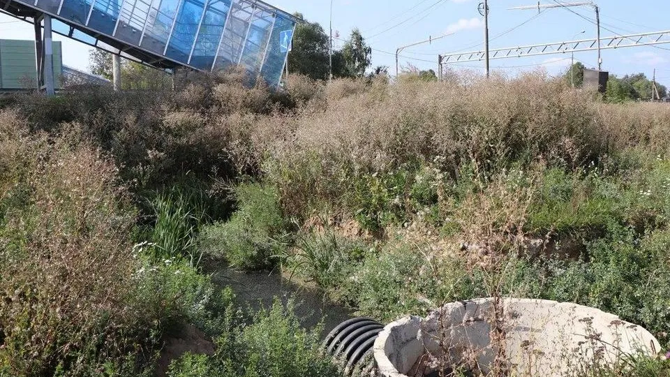 Фото: пресс-служба Администрации городского округа Мытищи