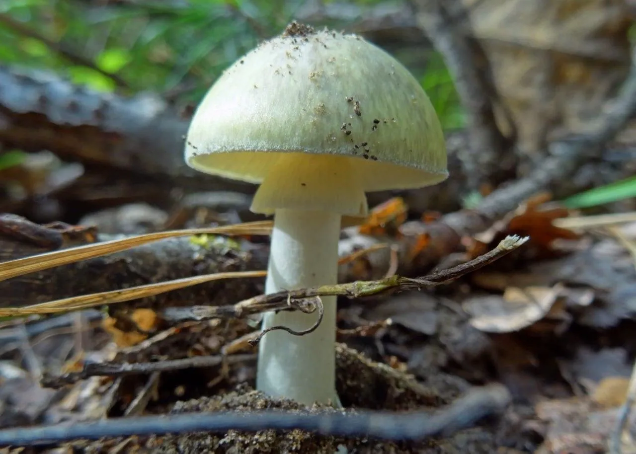 Фото: Комлесхоз