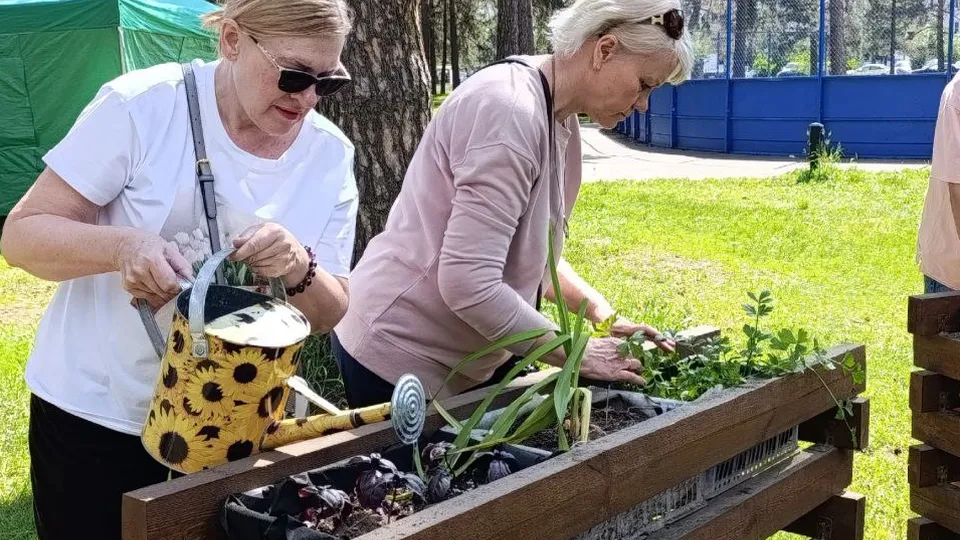 Фото: t.me/kulturakotelniki