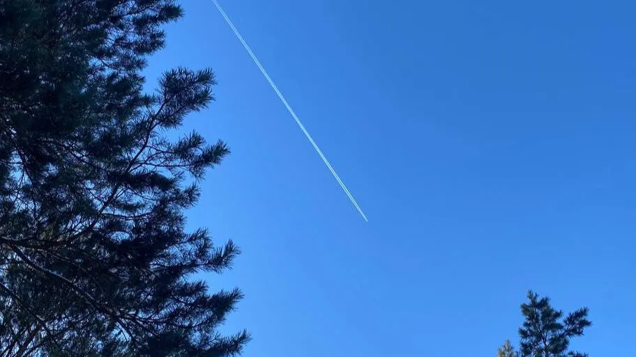 REGIONS/Мария Толстикова