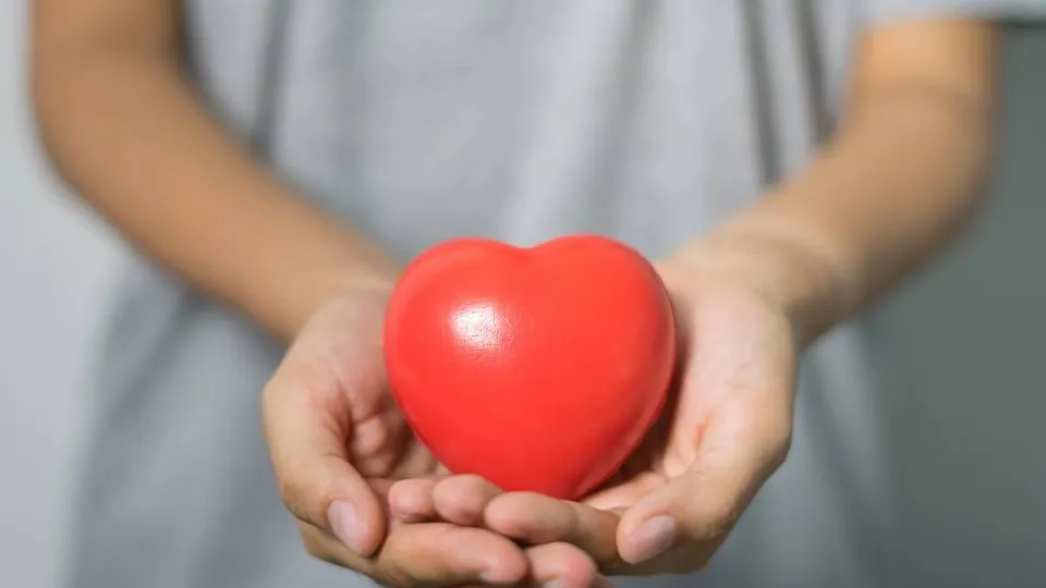 Фото: pxhere.com