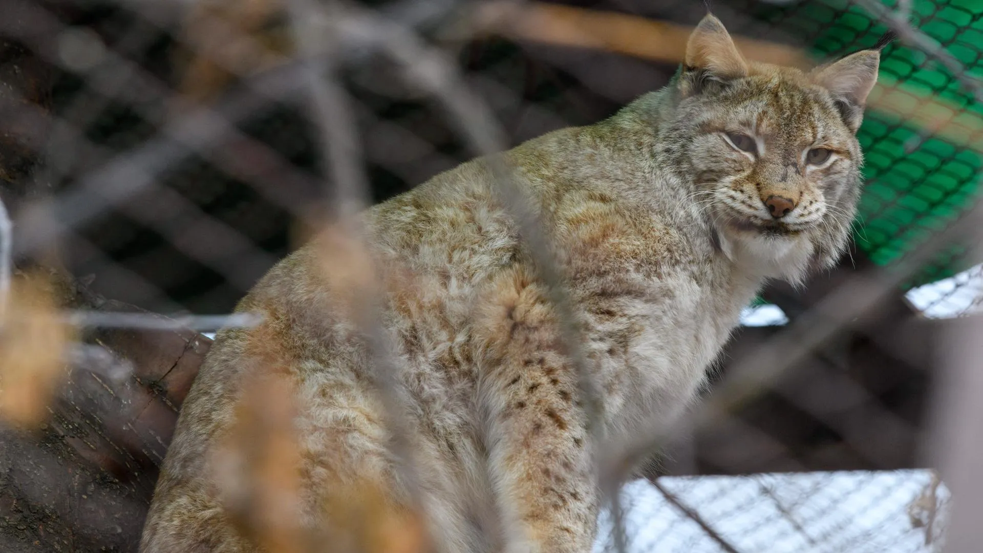 Ilya Moskovets/URA.RU