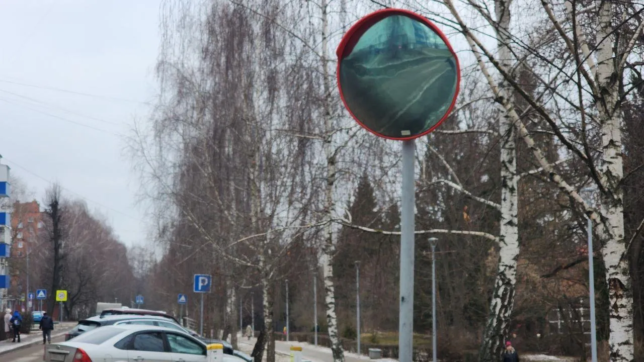 МедиаБанк Подмосковья/Мария Панина