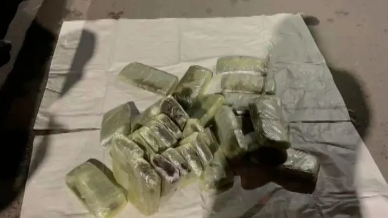 ГУ МВД по МО