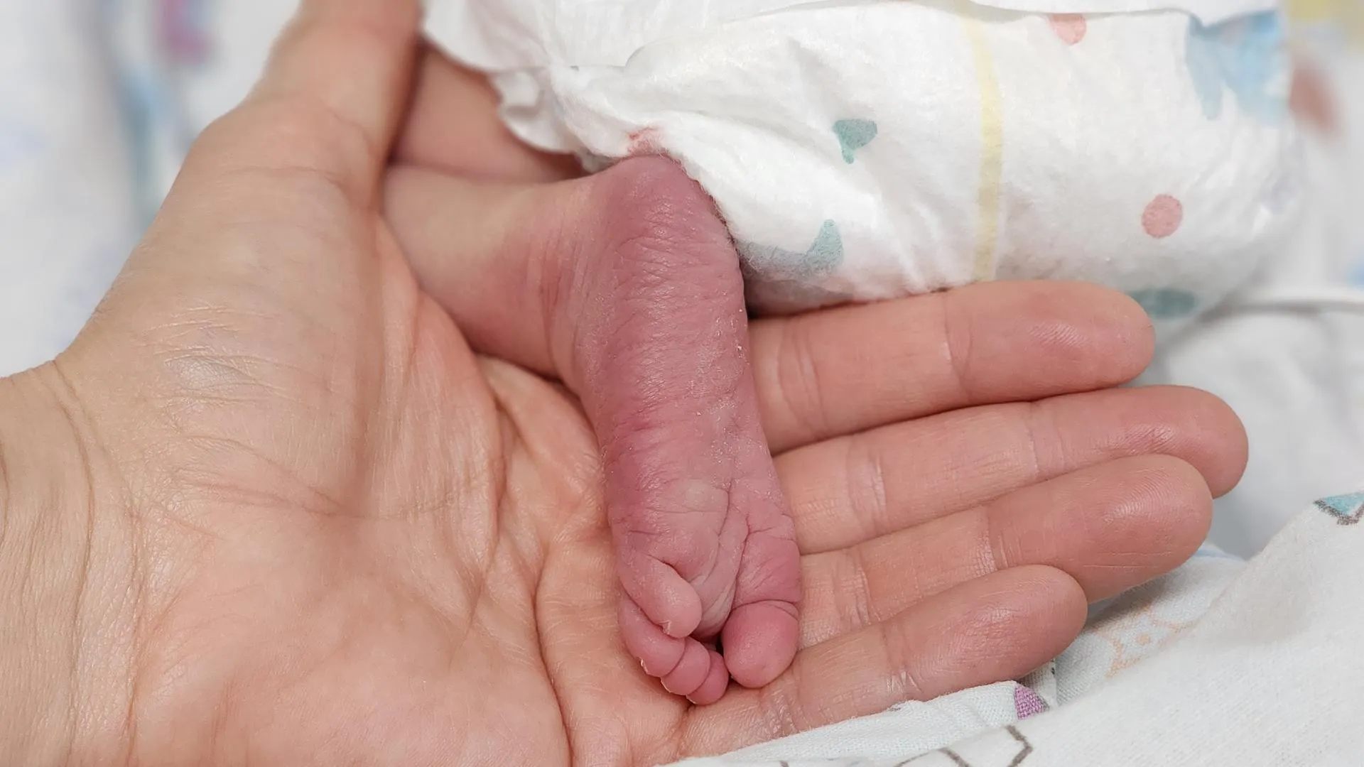 МедиаБанк Подмосковья/Валентина Максимова