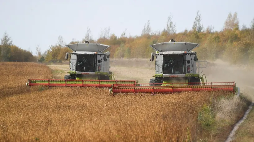 Фото: пресс-служба Губернатора и Правительства Московской области