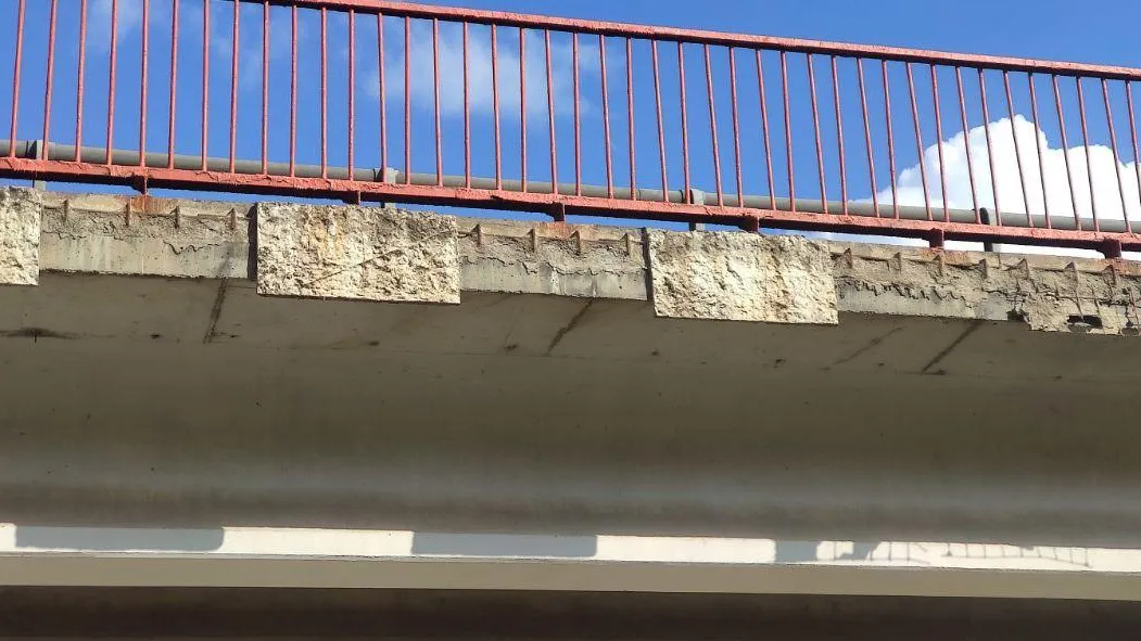 Фото: соцсети