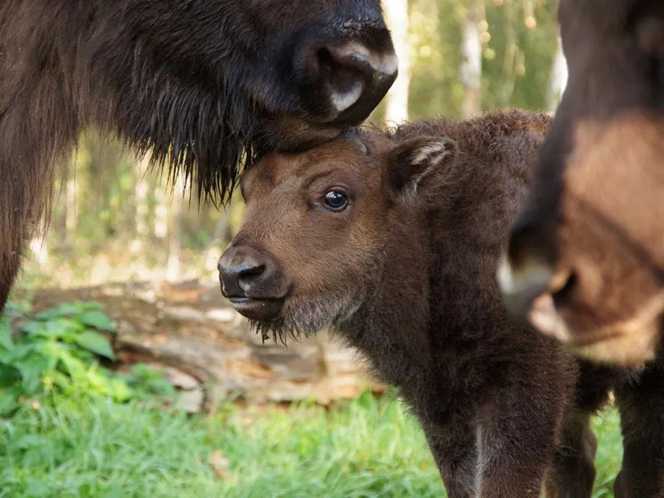 Фото: Ольга Калинина